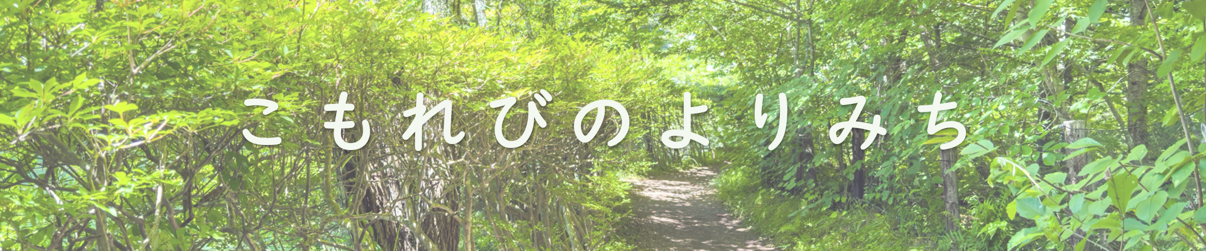 こもれびのよりみち